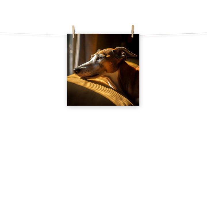 Greyhound Photo paper poster - PosterfyAI.com