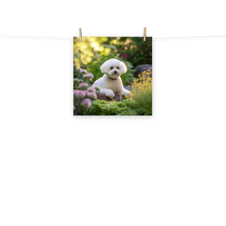 Bichon Frise Photo paper poster - PosterfyAI.com