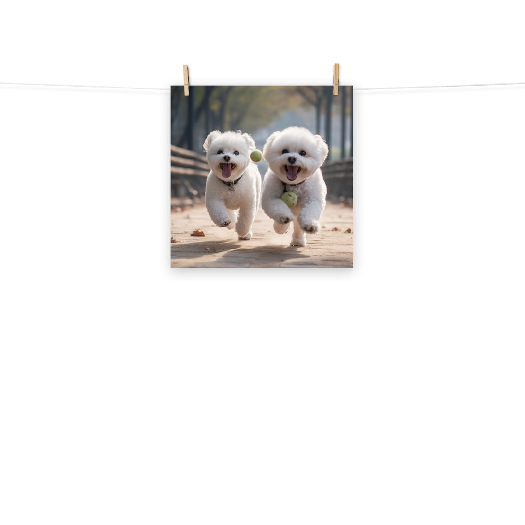 Bichon Frise Photo paper poster - PosterfyAI.com