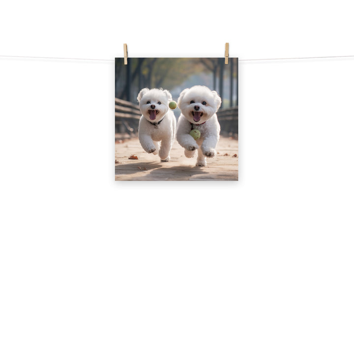 Bichon Frise Photo paper poster - PosterfyAI.com