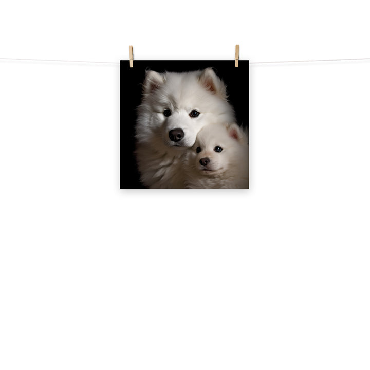 Samoyed Photo paper poster - PosterfyAI.com