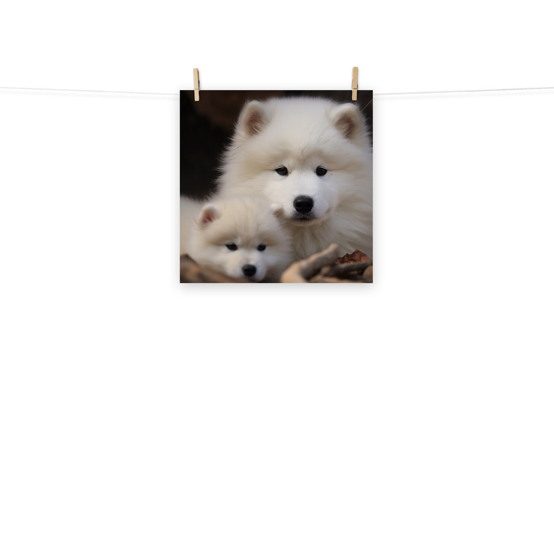 Samoyed Photo paper poster - PosterfyAI.com