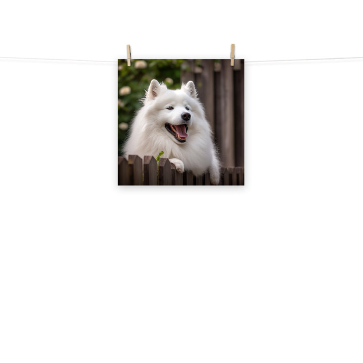 Samoyed Photo paper poster - PosterfyAI.com