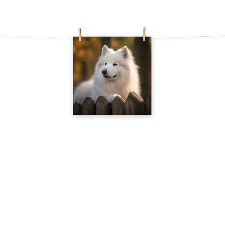Samoyed Photo paper poster - PosterfyAI.com