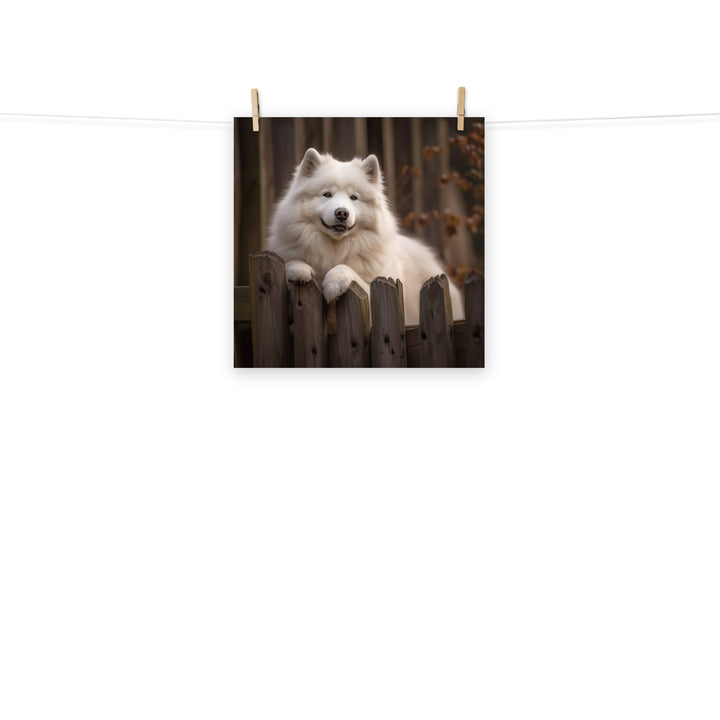 Samoyed Photo paper poster - PosterfyAI.com