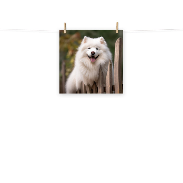 Samoyed Photo paper poster - PosterfyAI.com