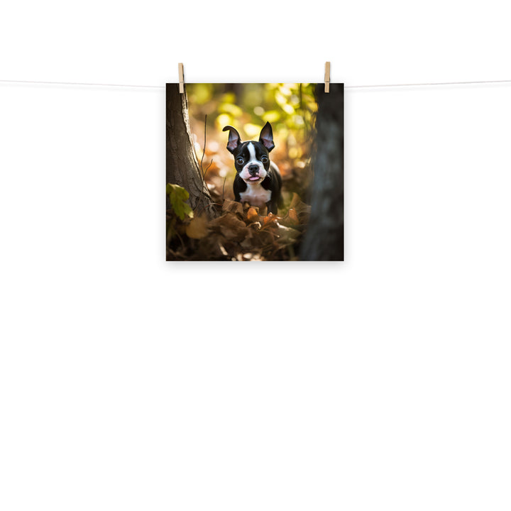 Boston Terrier Photo paper poster - PosterfyAI.com