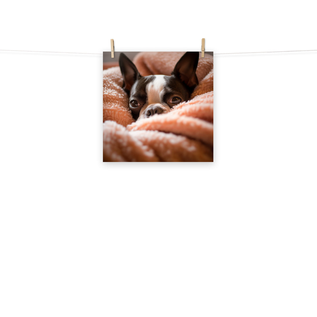 Boston Terrier Photo paper poster - PosterfyAI.com