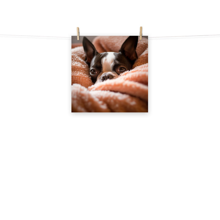 Boston Terrier Photo paper poster - PosterfyAI.com