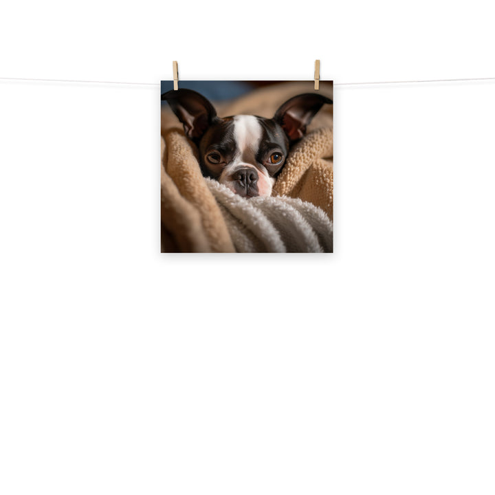 Boston Terrier Photo paper poster - PosterfyAI.com