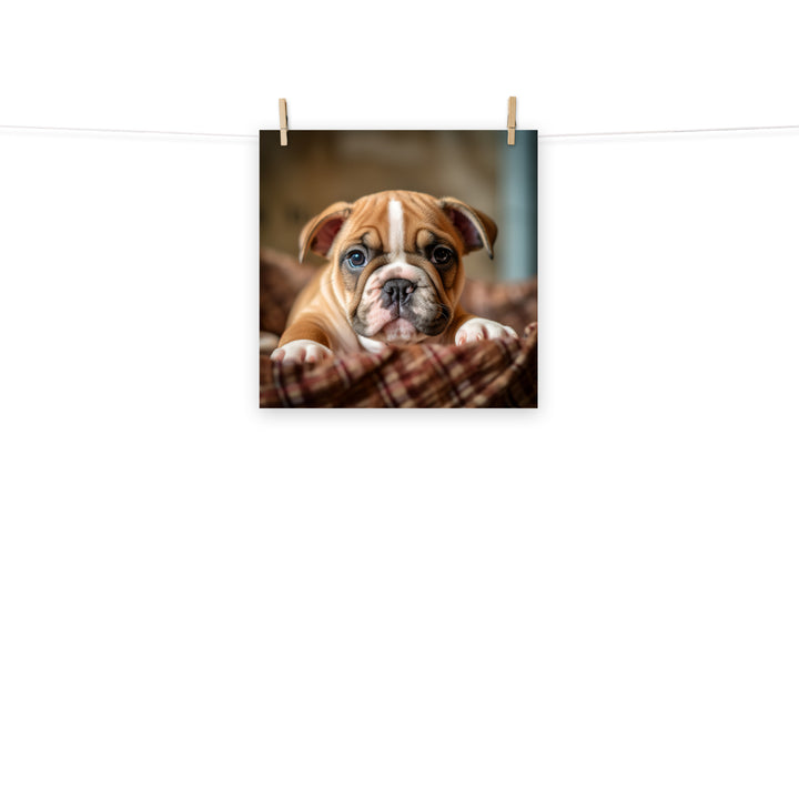 Bulldog Photo paper poster - PosterfyAI.com