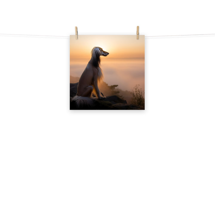 Afghan Hound Photo paper poster - PosterfyAI.com