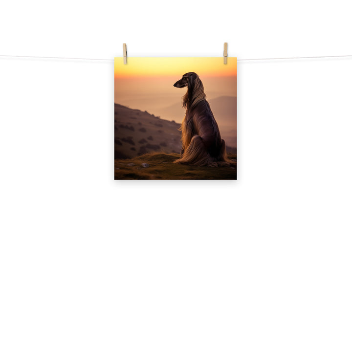 Afghan Hound Photo paper poster - PosterfyAI.com
