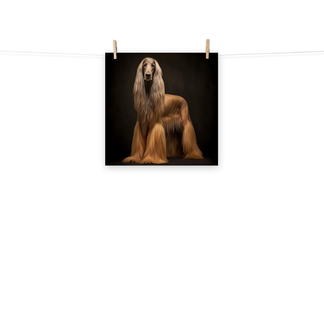Afghan Hound Photo paper poster - PosterfyAI.com