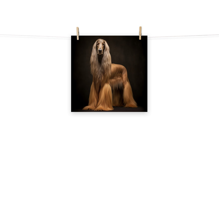 Afghan Hound Photo paper poster - PosterfyAI.com