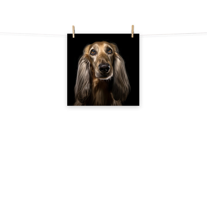 Afghan Hound Photo paper poster - PosterfyAI.com