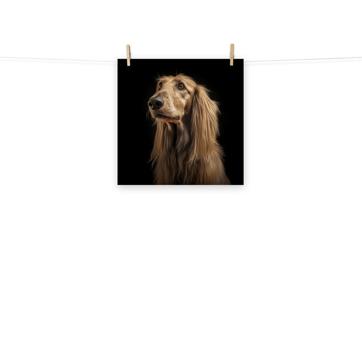 Afghan Hound Photo paper poster - PosterfyAI.com