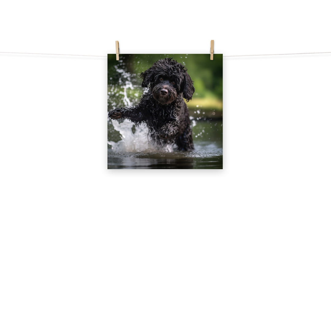 Portuguese Water Dog Photo paper poster - PosterfyAI.com