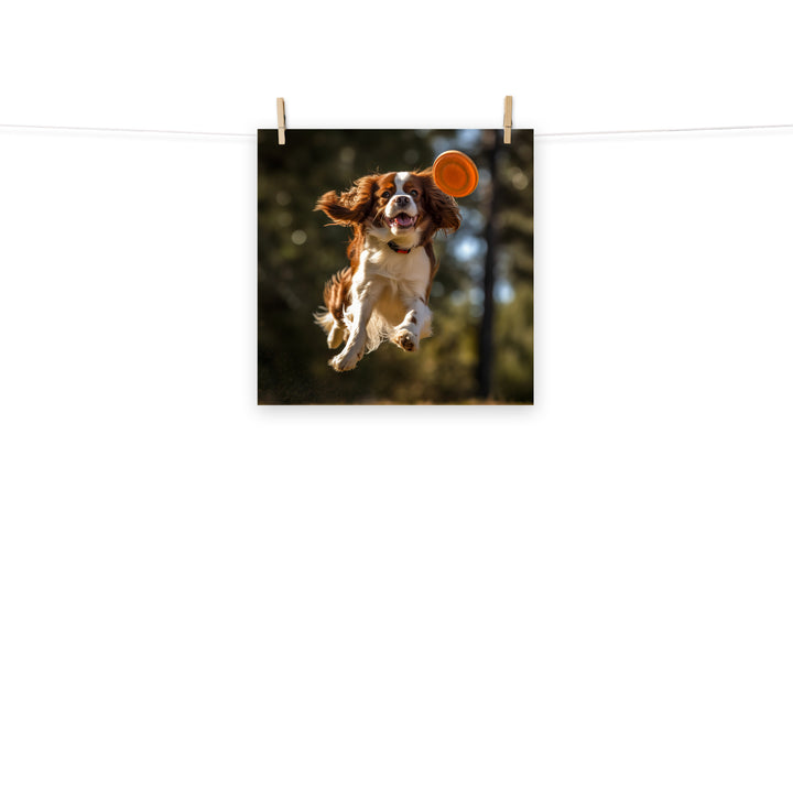 Cavalier King Charles Photo paper poster - PosterfyAI.com