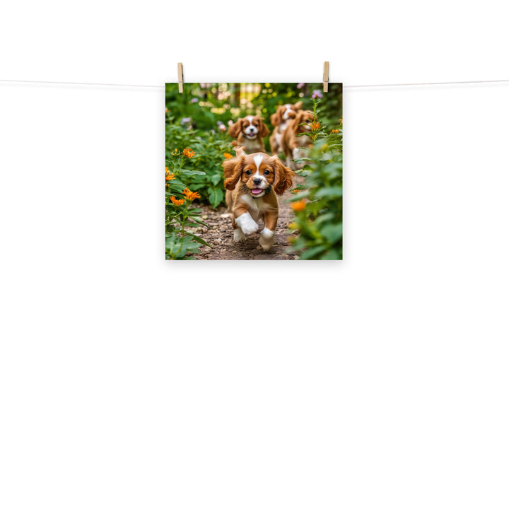 Cavalier King Charles Photo paper poster - PosterfyAI.com