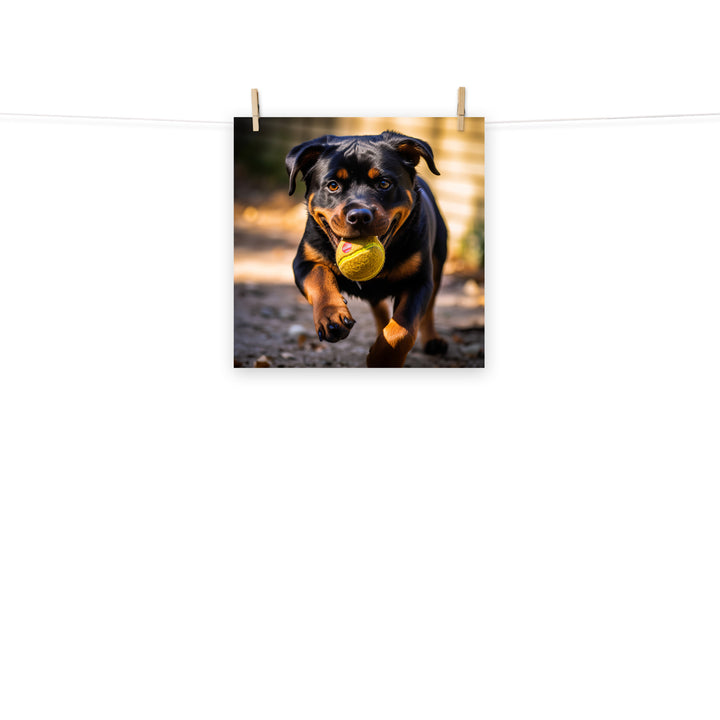 Rottweiler Photo paper poster - PosterfyAI.com