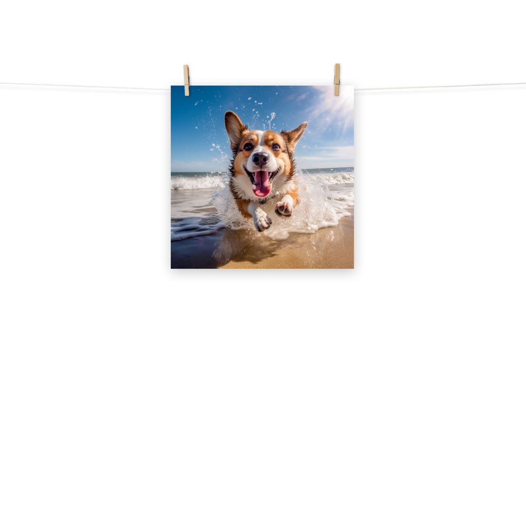 Welsh Corgi Photo paper poster - PosterfyAI.com