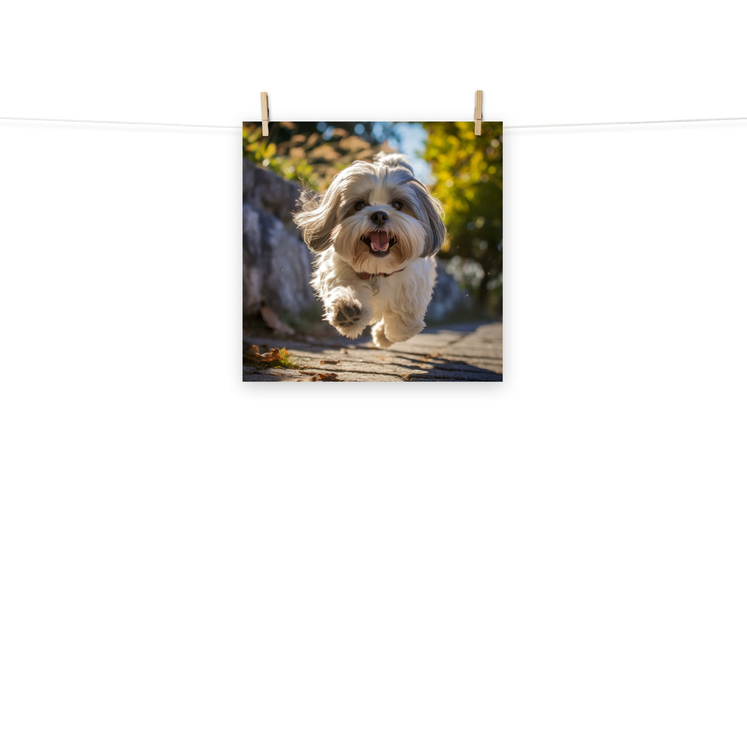 Lhasa Apso Photo paper poster - PosterfyAI.com
