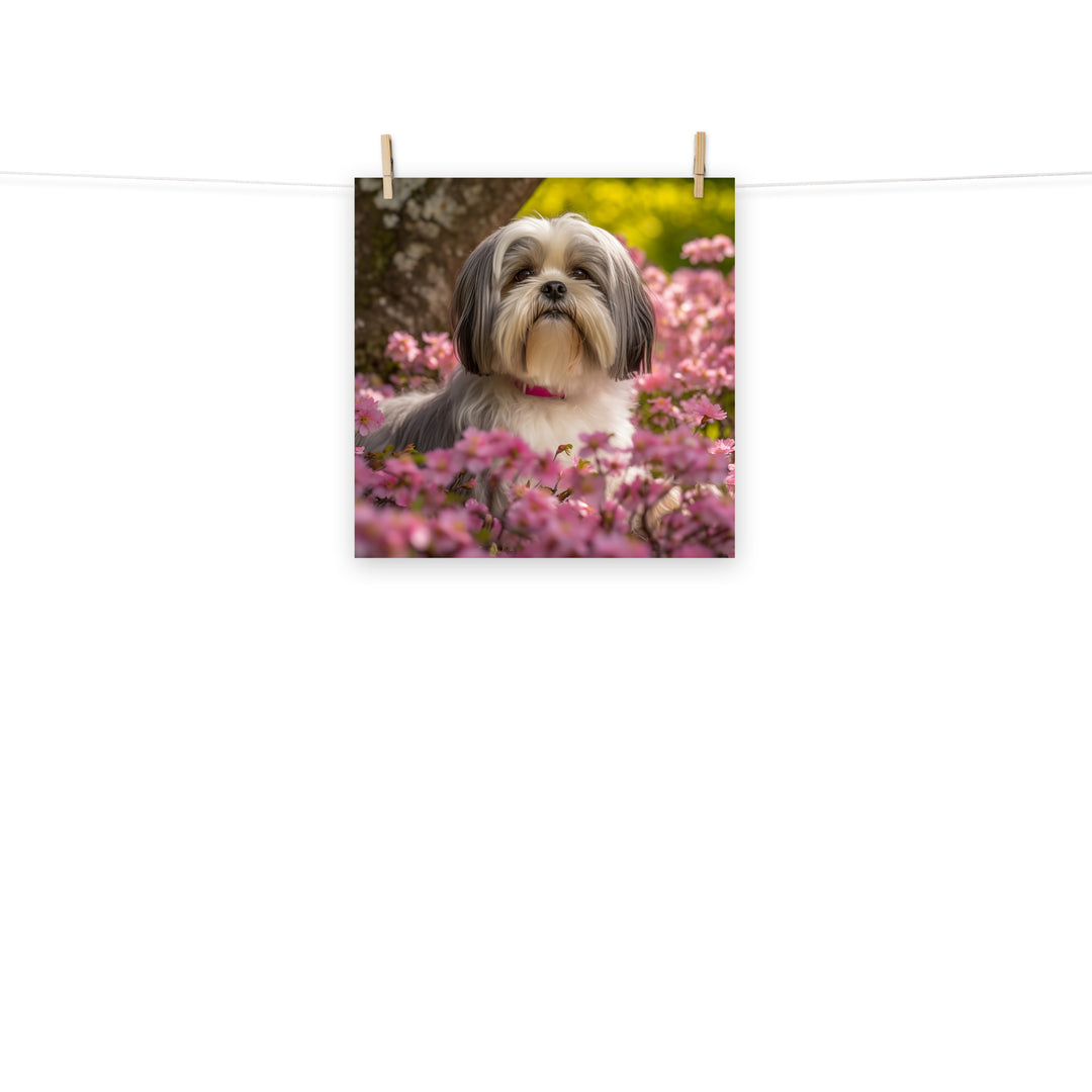 Lhasa Apso Photo paper poster - PosterfyAI.com
