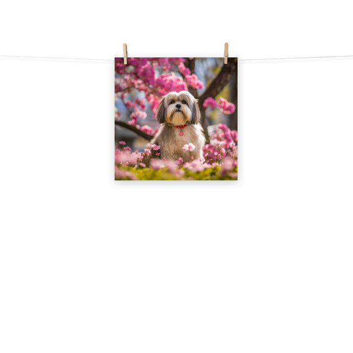 Lhasa Apso Photo paper poster - PosterfyAI.com