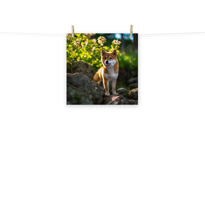 Shiba Inu Photo paper poster - PosterfyAI.com