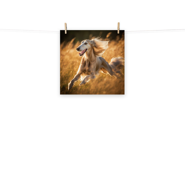 Saluki Photo paper poster - PosterfyAI.com