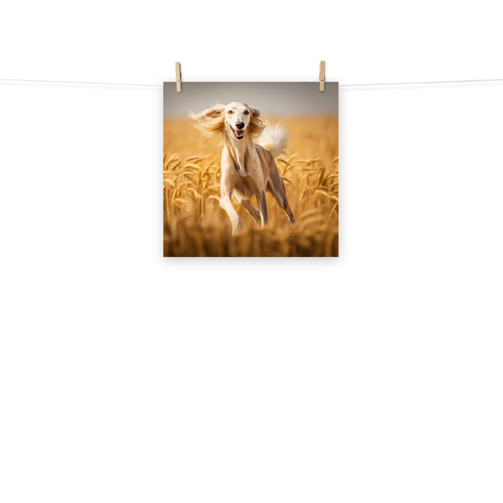 Saluki Photo paper poster - PosterfyAI.com