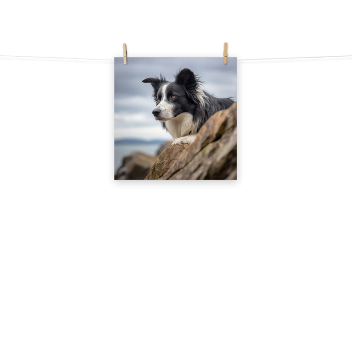 Border Collie Photo paper poster - PosterfyAI.com