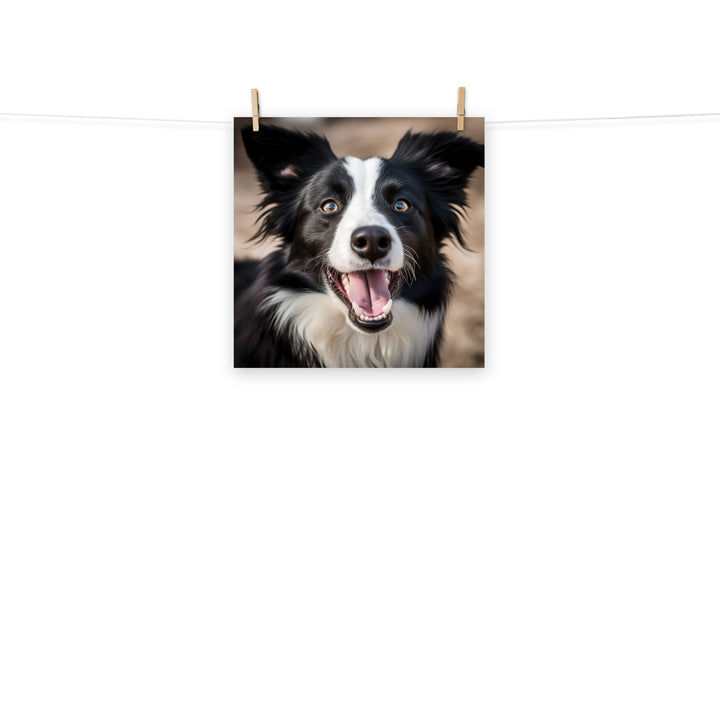 Border Collie Photo paper poster - PosterfyAI.com