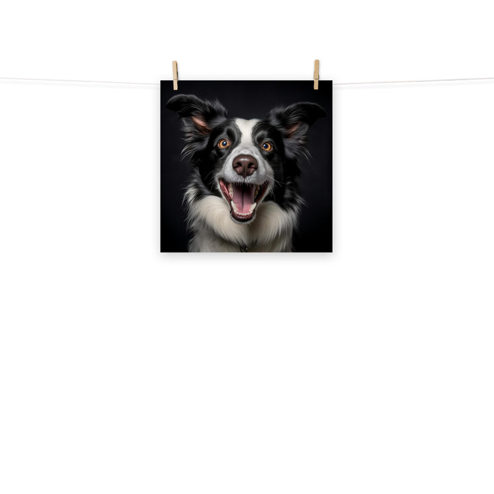 Border Collie Photo paper poster - PosterfyAI.com