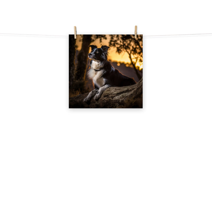 Border Collie Photo paper poster - PosterfyAI.com