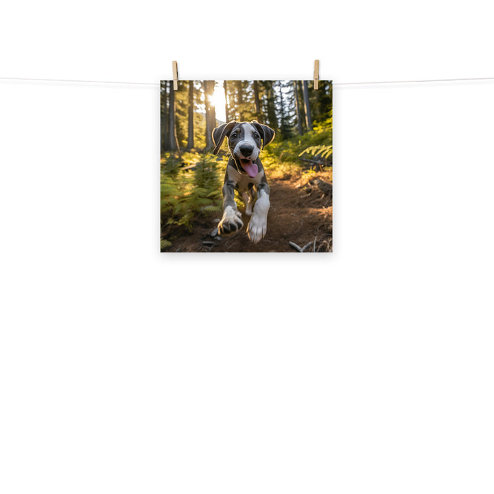 Great Dane Photo paper poster - PosterfyAI.com