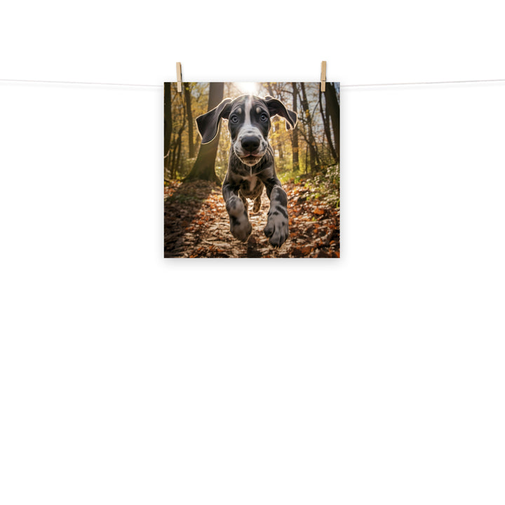 Great Dane Photo paper poster - PosterfyAI.com