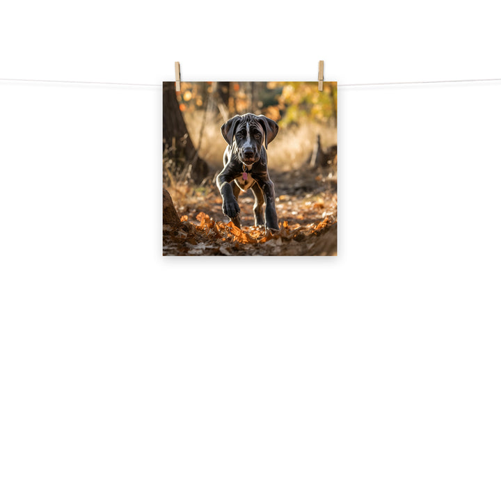 Great Dane Photo paper poster - PosterfyAI.com