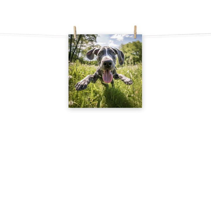 Great Dane Photo paper poster - PosterfyAI.com