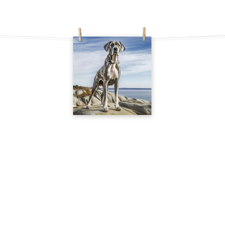 Great Dane Photo paper poster - PosterfyAI.com