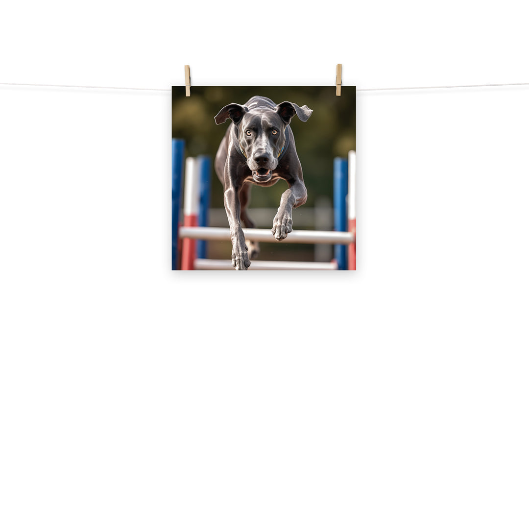 Great Dane Photo paper poster - PosterfyAI.com