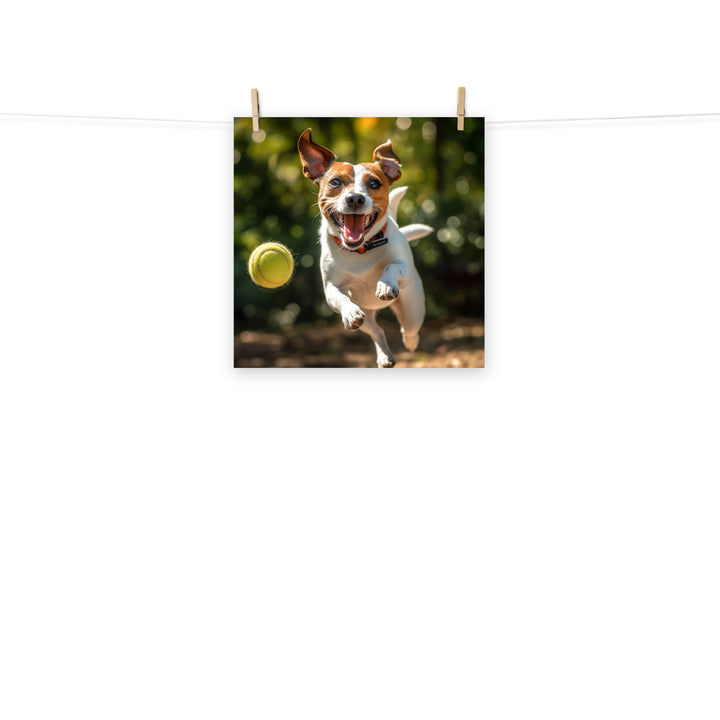 Jack Russell Terrier Photo paper poster - PosterfyAI.com