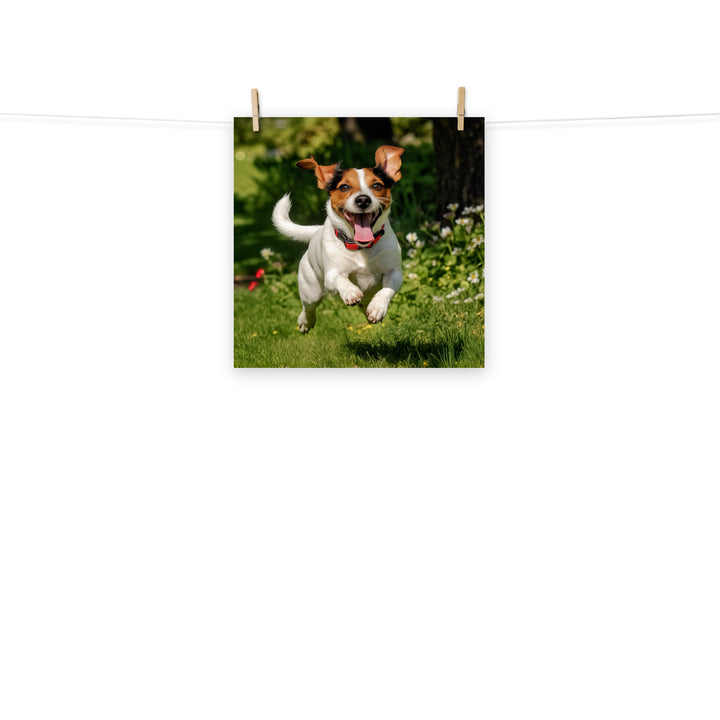 Jack Russell Terrier Photo paper poster - PosterfyAI.com