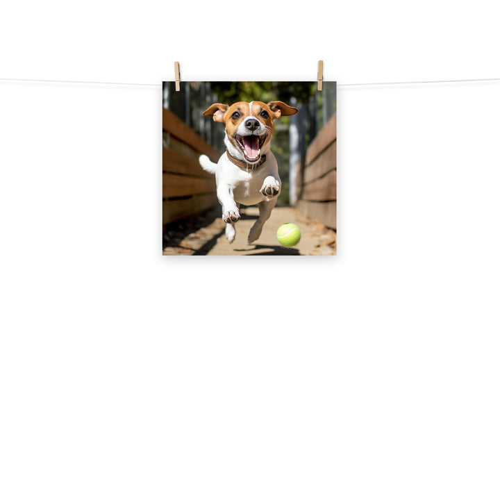Jack Russell Terrier Photo paper poster - PosterfyAI.com