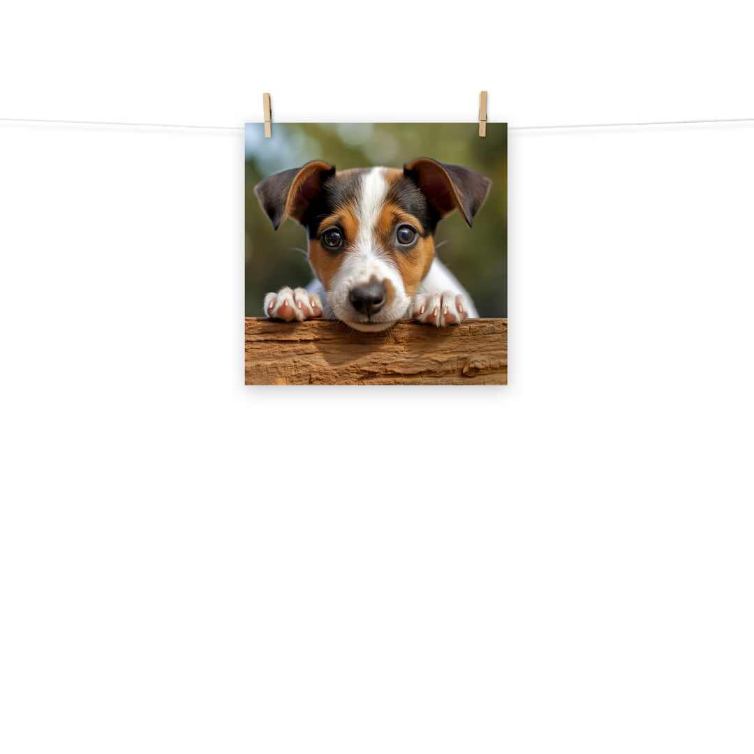 Jack Russell Terrier Photo paper poster - PosterfyAI.com