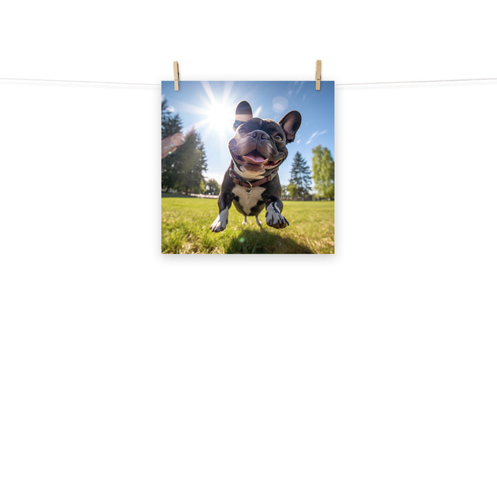 French Bulldog Photo paper poster - PosterfyAI.com