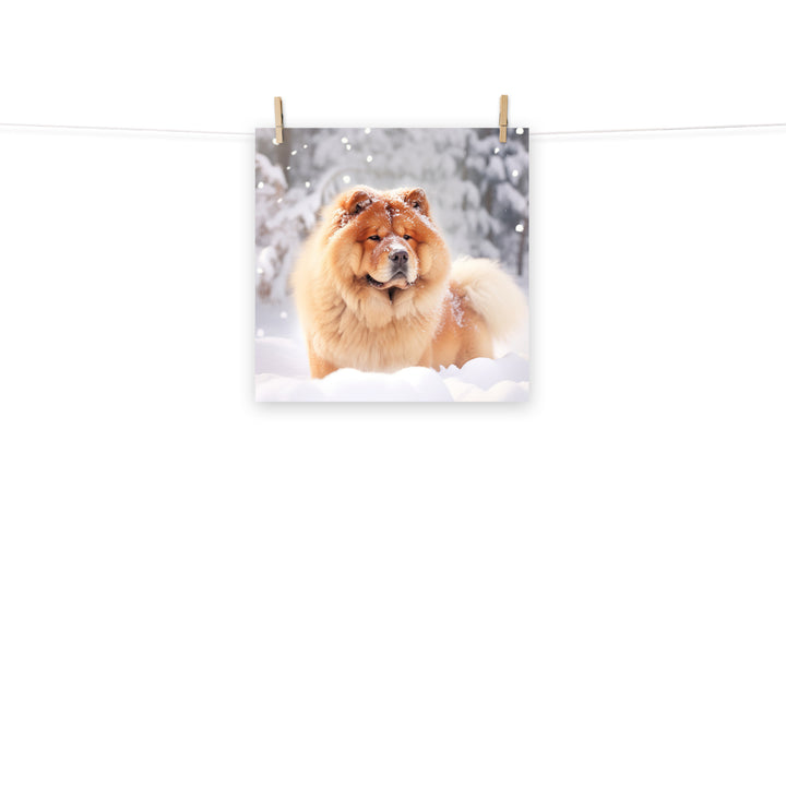 Chow Chow Photo paper poster - PosterfyAI.com