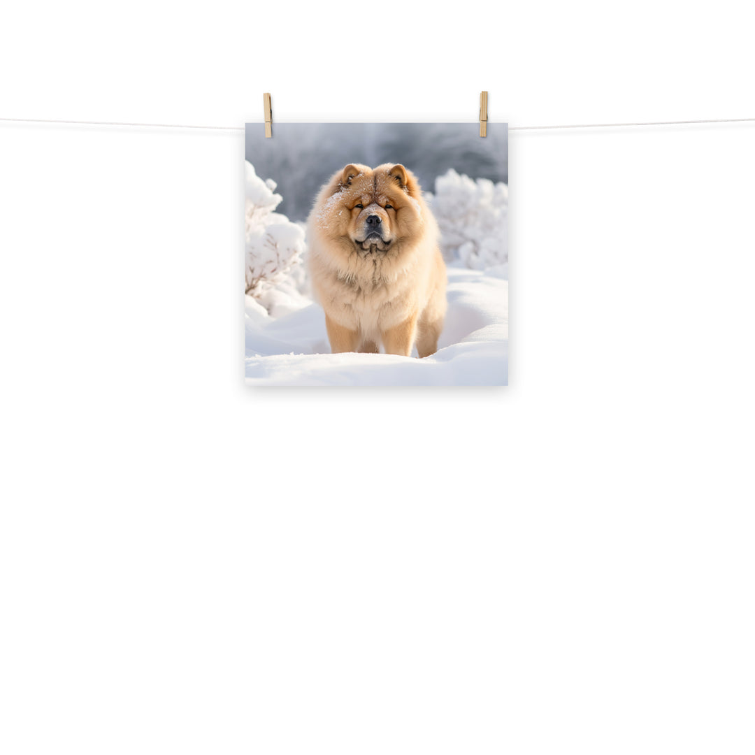Chow Chow Photo paper poster - PosterfyAI.com