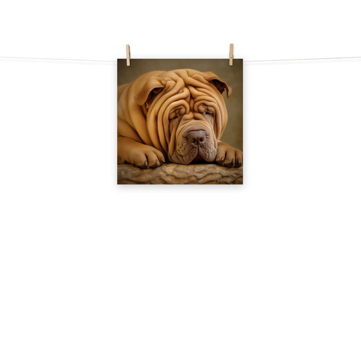 Shar Pei Photo paper poster - PosterfyAI.com